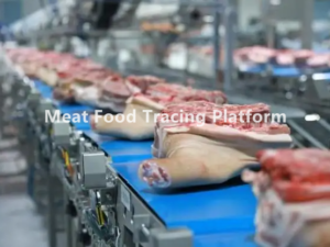 meat food tracing platform