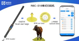 Cattle rfid reader